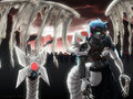 Conquest