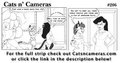 Cats n Cameras - Strip #206 - Winding down