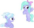 Fillies