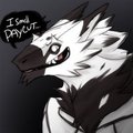 [Gift] Boss Sergal - "I smell....failure." by BossSergal