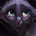 Don't be afraid by xepxyu