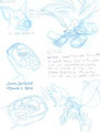 Turtles Are Awesome