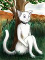 Honest Kitty