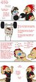 The Immelmann Exercise Plan