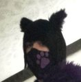 Neon Cat (Fur Costume) by Smallhail