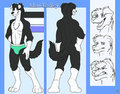 Adam Radley: The giant Border Collie