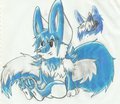 My toungle :3, My paws, My Tail, Me :3 by WolfieWolfster