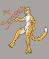 Fantastic Mr. Stripes by DGears