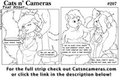 Cats n Cameras - Strip #207 - That night...