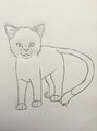 My brother's warrior cat