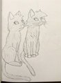 Firepaw and Graypaw