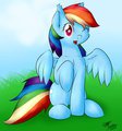 Rainbow Dash