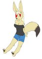 Flying Fennec Zeki