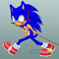 Sonic Ponyplay