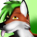 Verni Avatar by Slooty