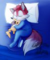 Sleep time for Foxy