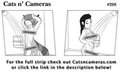 Cats n Cameras - Strip #208 - Twelve Begins - King of the fan service!