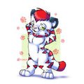 Kimu Tiger