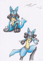 Rucario!