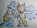 Crash14.