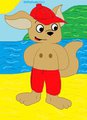 Colt And The Beach