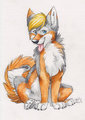 Silver Huskywolf by SilentRavyn