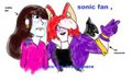 sonic fan , sonic fan everythere