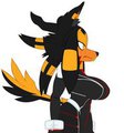S.H.A.D.E.'s Bio