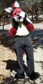 SA Furs meetup - 3/16/2014