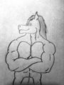 Equine Stance