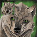 Avatar Commission for Jin
