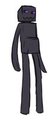 Enderpreg