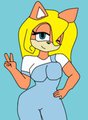 Coco bandicoot