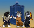 Arakin Fiona and Loupy whoverse by Loupy