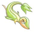 smugleaf