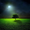 The Edge Under The Moon by Blackwervolk