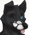 Skye Wulf by Furrywuff4ev