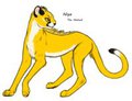 Niya The Named