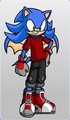 Volt the Hedgebat