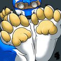 BUDI FEETS by Budi