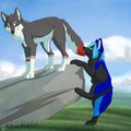 Noms Ur Tail