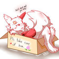 Zangoose in the box