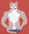 pitbull by Kanou