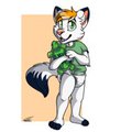 Kyoga and his turtle by strikerthefox