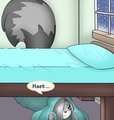 Every Winter is the Winter of Nori's Discontent