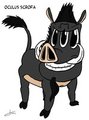 Original: Oculus Scrofa