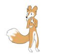 winrich by softcream