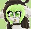 Bree Jetpaw Icon ~ by MissJessiie