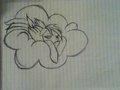 Rainbow Dash  by Johnny