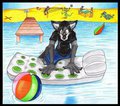 Let's go the beach